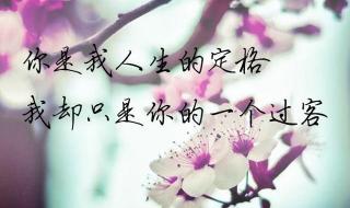 一生回忆有你就足够