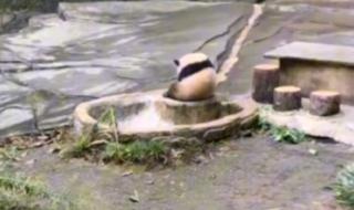 有一首歌里有一句因为那是爱爱爱爱爱 爱爱爱爱中国好声音