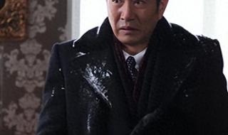 姚刚在岁月里扮演的什么 姚刚演过的电视剧