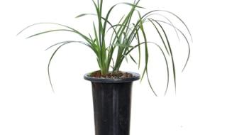 淘宝假一赔三申请