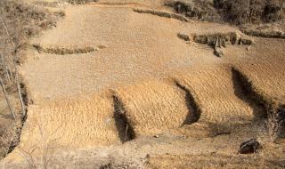 蒙古极端低温是多少 全国极端低温分布图