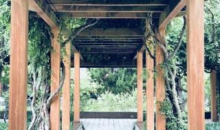 伊犁师范大学新校区怎么样 天津师范大学新空气