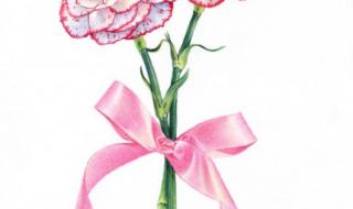 母亲节图片简单好画