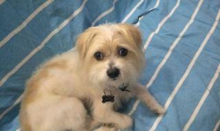 最让我感动的一件事的选材 最令我感动的一件事