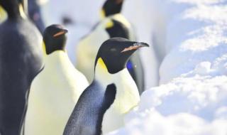 重庆极地海洋世界