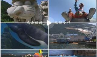 大连海洋极地馆营业时间 大连极地海洋动物馆