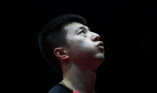 2019乒乓球男子世界杯 2019乒乓球男子世界杯